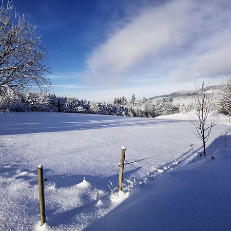 Auszeit, Erholung Mitten In Der Natur - Ferienhaus Im Sauerland In Faulebutter Finnentrop المظهر الخارجي الصورة